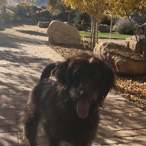 Meet your Posher, Mechele